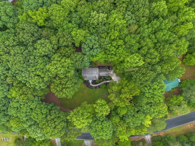 1205 Elysian Way, Rougemont, NC 27572 - photo 42