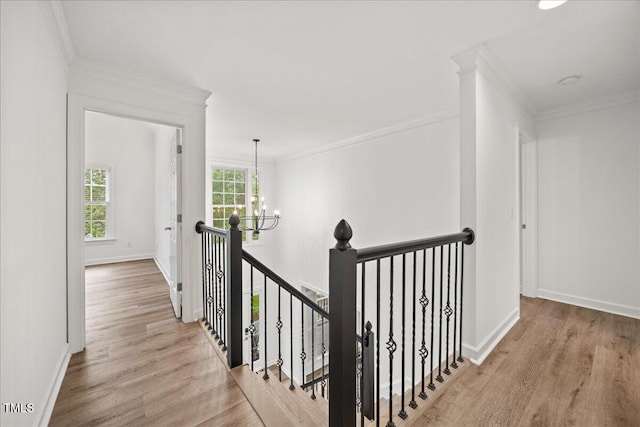 4 Pickard Pl, Durham, NC 27703 - photo 33