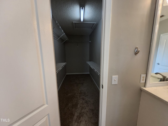 4903 Bridgewood Dr, Durham, NC 27713 - walk in closet featuring dark colored carpet
