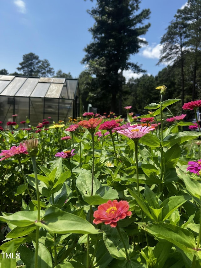 2345 Honeypot Ln, Chapel Hill, NC 27516
