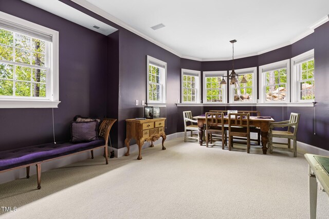 16106 Morehead, Chapel Hill, NC 27517 - photo 35