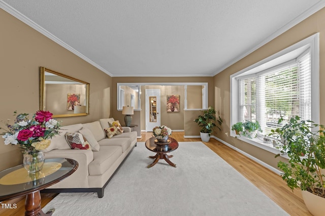 1040 Ivy Ln, Cary, NC 27511 - living area featuring ornamental molding and wood finished floors