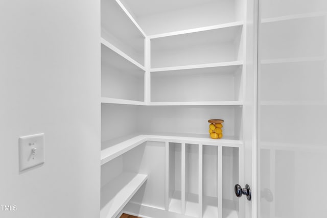 121 Nate Ct, Wake Forest, NC 27587 - view of pantry