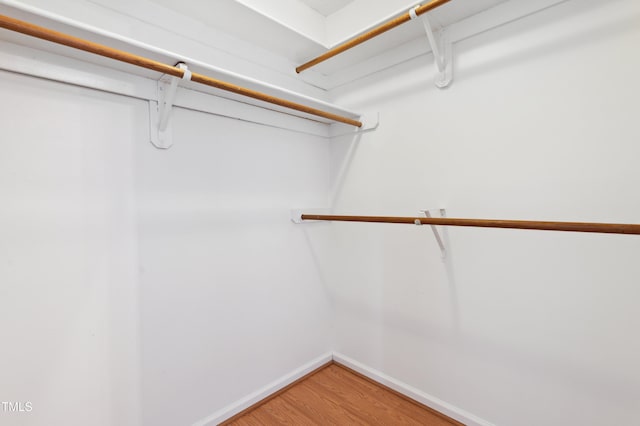3405 E Jameson Rd, Raleigh, NC 27604 - walk in closet featuring light wood-style floors