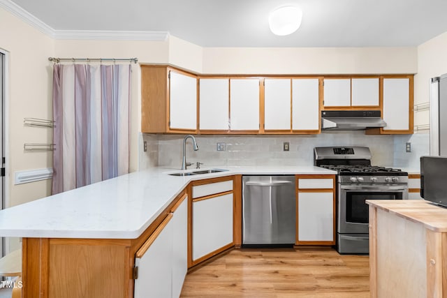 320 Summerwalk Cir, Chapel Hill, NC 27517 - kitchen featuring stainless steel appliances, under cabinet range hood, a sink, light countertops, and light wood finished floors