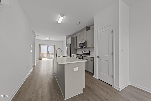 447 N Fisher St, Raleigh, NC 27610 - kitchen featuring stainless steel appliances, gray cabinets, a sink, and wood finished floors