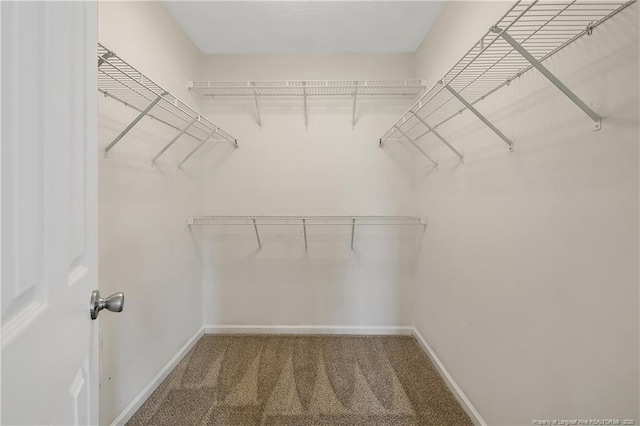 120 Wood Valley Ln, Raeford, NC 29376 - walk in closet featuring carpet flooring