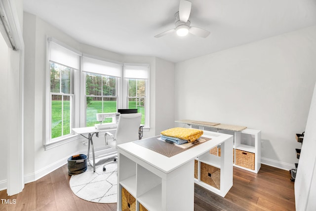 390 Lake Magnolia Way, Smithfield, NC 27577 - office with plenty of natural light, dark wood-type flooring, baseboards, and a ceiling fan