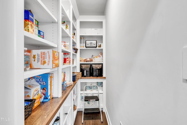 390 Lake Magnolia Way, Smithfield, NC 27577 - view of pantry