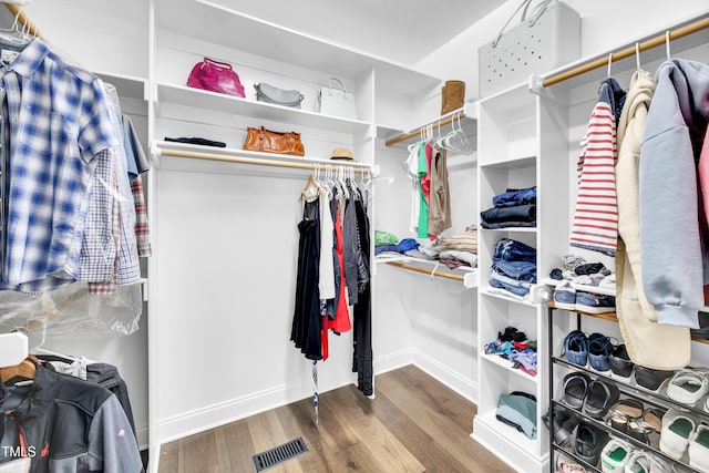 390 Lake Magnolia Way, Smithfield, NC 27577 - spacious closet with wood finished floors