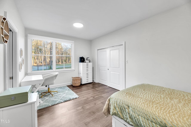 390 Lake Magnolia Way, Smithfield, NC 27577 - bedroom featuring wood finished floors, baseboards, and a closet