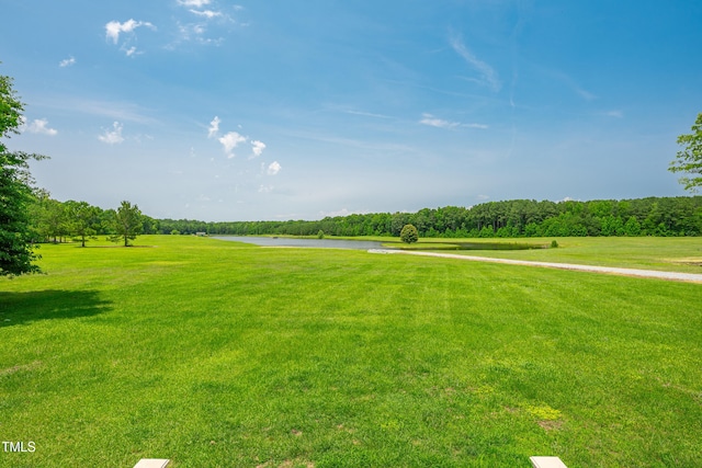 390 Lake Magnolia Way, Smithfield, NC 27577 - surrounding community with a yard and a water view