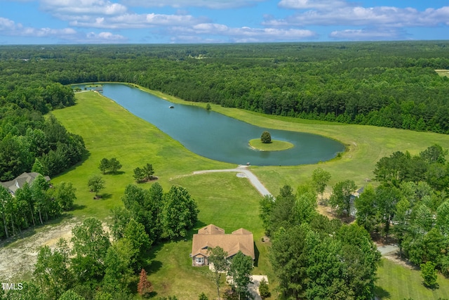 390 Lake Magnolia Way, Smithfield, NC 27577 - aerial view of a forest and a large body of water