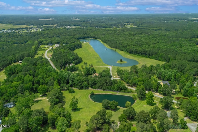 390 Lake Magnolia Way, Smithfield, NC 27577 - view of property location with a large body of water and a forest