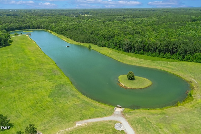 390 Lake Magnolia Way, Smithfield, NC 27577 - drone / aerial view of a heavily wooded area and a nearby body of water