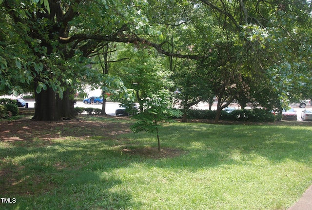 1908 Smallwood Dr, Raleigh, NC 27605 - view of grassy yard