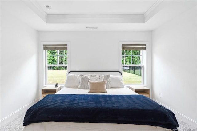 25 Vast View Way, Youngsville, NC 27596 - bedroom featuring a raised ceiling, crown molding, carpet flooring, and baseboards