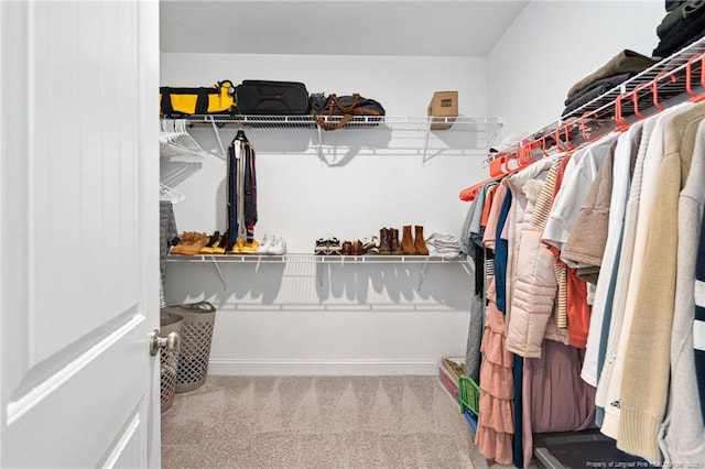 25 Vast View Way, Youngsville, NC 27596 - spacious closet featuring carpet