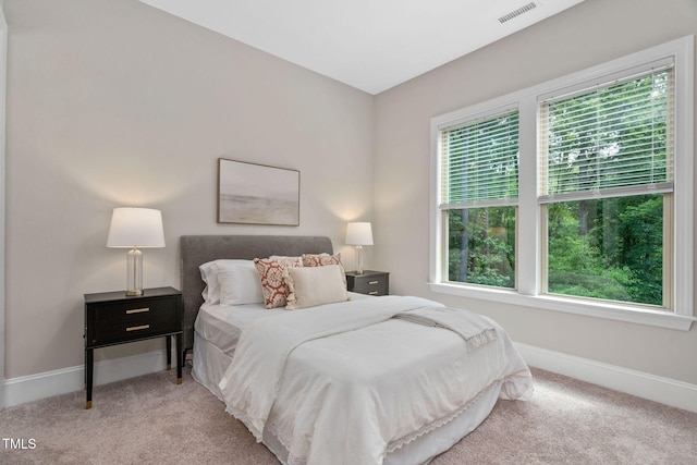 728 Peninsula Forest Pl, Cary, NC 27519 - bedroom with carpet floors