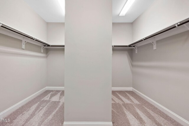 728 Peninsula Forest Pl, Cary, NC 27519 - spacious closet with carpet flooring