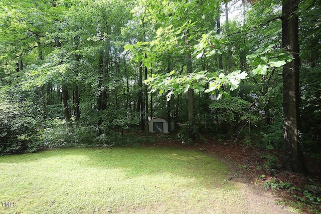 116 Trinity Woods Dr, Raleigh, NC 27607 - photo 31