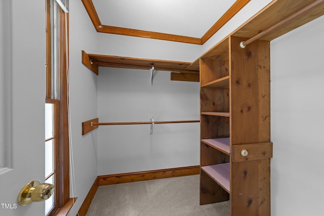 221 Jansmith Ln, Raleigh, NC 27615 - spacious closet with carpet floors