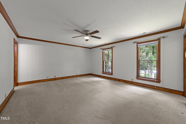 221 Jansmith Ln, Raleigh, NC 27615 - unfurnished room with crown molding, healthy amount of natural light, light colored carpet, baseboards, and a textured ceiling