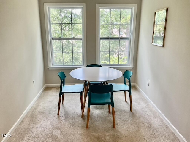 166 Gulley Glen Dr, Garner, NC 27529 - dining space featuring plenty of natural light, carpet floors, and baseboards