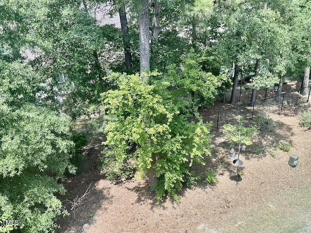 166 Gulley Glen Dr, Garner, NC 27529 - view of local wilderness