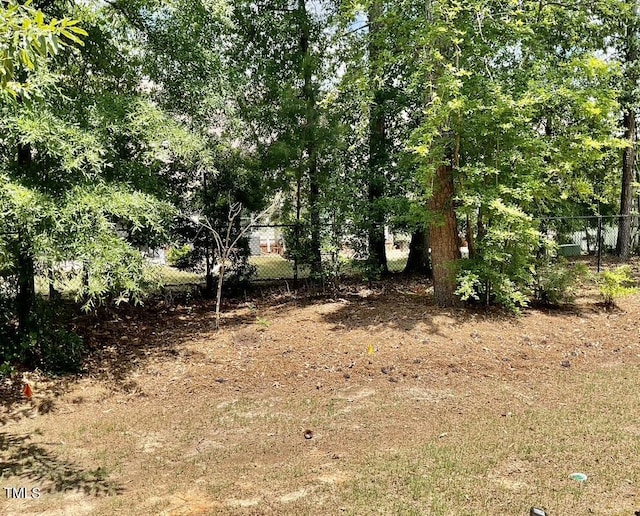 166 Gulley Glen Dr, Garner, NC 27529 - view of yard