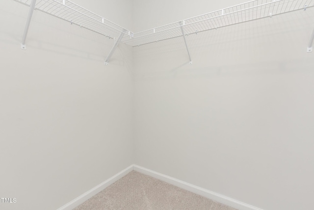 591 Traditions Grande Blvd, Wake Forest, NC 27587 - spacious closet featuring carpet floors