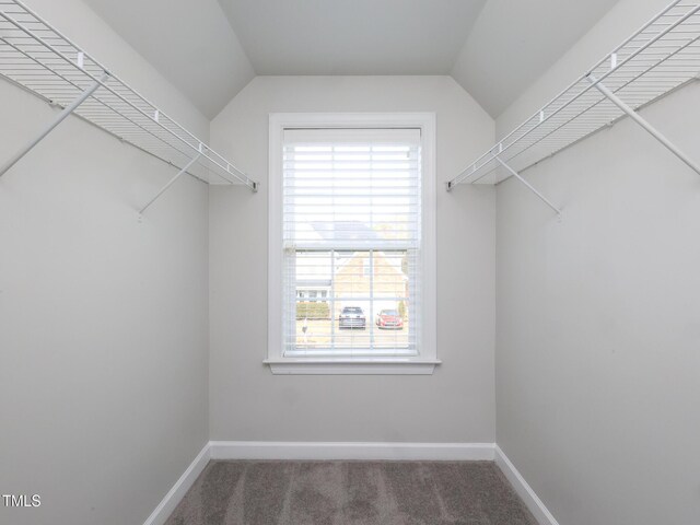 800 Tree Green Ln, Wake Forest, NC 27587 - photo 49
