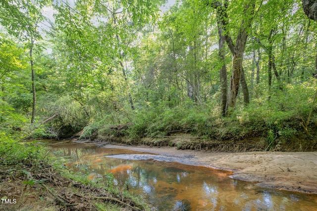 701 Creekside Dr, Clayton, NC 27520 - water view featuring a heavily wooded area