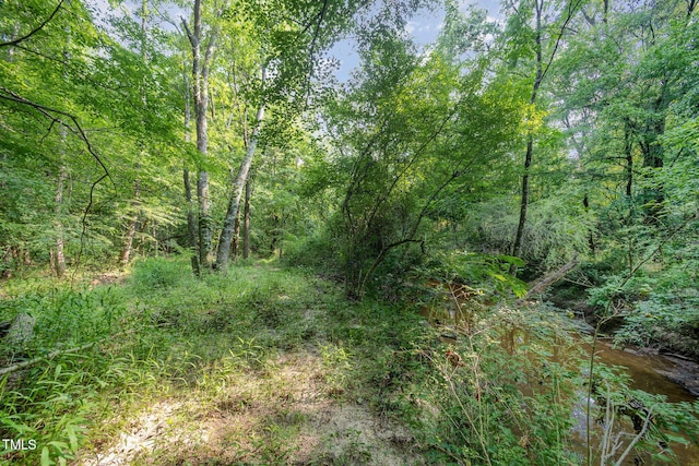 701 Creekside Dr, Clayton, NC 27520 - view of woods