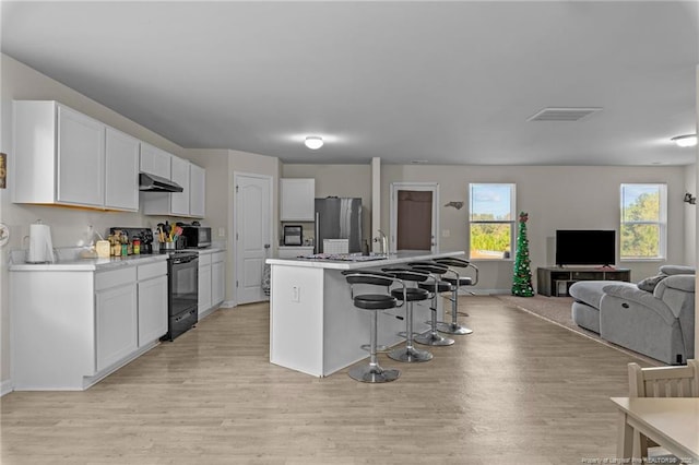 259 Desert Orchid Cir, Raeford, NC 28376 - kitchen with stainless steel appliances, under cabinet range hood, light wood-style floors, and open floor plan