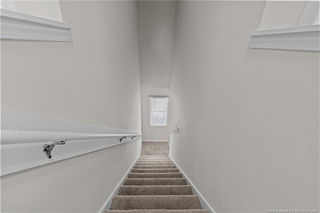 259 Desert Orchid Cir, Raeford, NC 28376 - stairway featuring carpet flooring and baseboards