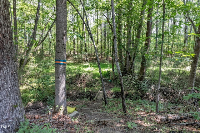 6509 Conaway Ct, Wake Forest, NC 27587 - view of woods