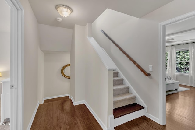 6509 Conaway Ct, Wake Forest, NC 27587 - stairs with wood finished floors and baseboards