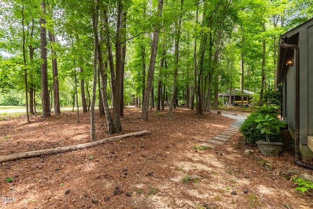 120 Polks Landing Rd, Chapel Hill, NC 27516 - view of yard