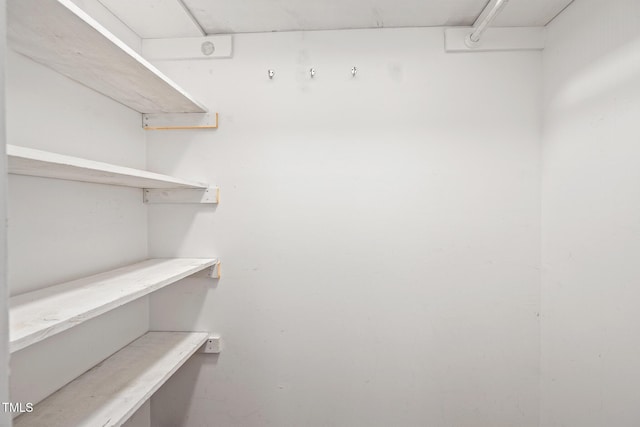 120 Polks Landing Rd, Chapel Hill, NC 27516 - view of walk in closet