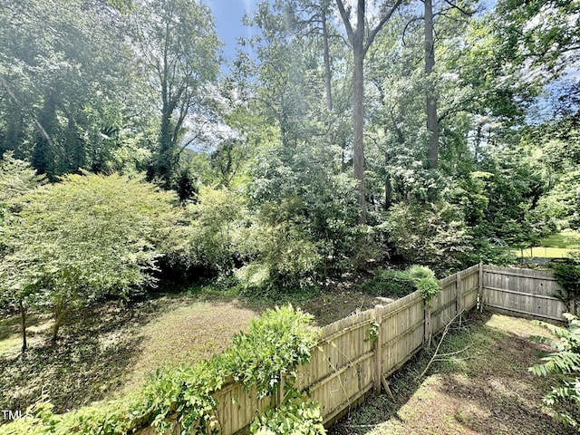 322 S Dixon Ave, Cary, NC 27511 - view of yard
