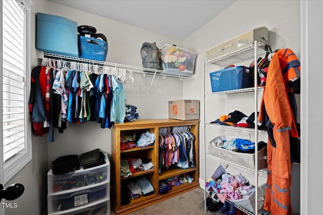 224 Swann Trl, Clayton, NC 27527 - spacious closet with carpet