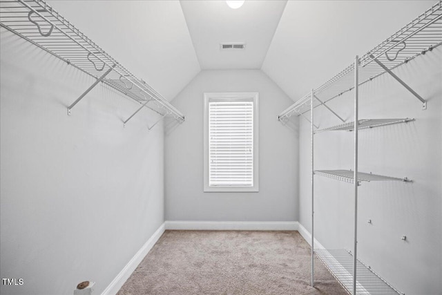 224 Swann Trl, Clayton, NC 27527 - spacious closet featuring carpet flooring and vaulted ceiling
