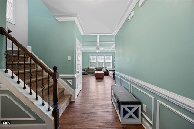 224 Swann Trl, Clayton, NC 27527 - stairs featuring crown molding, wood finished floors, wainscoting, ceiling fan, and a decorative wall