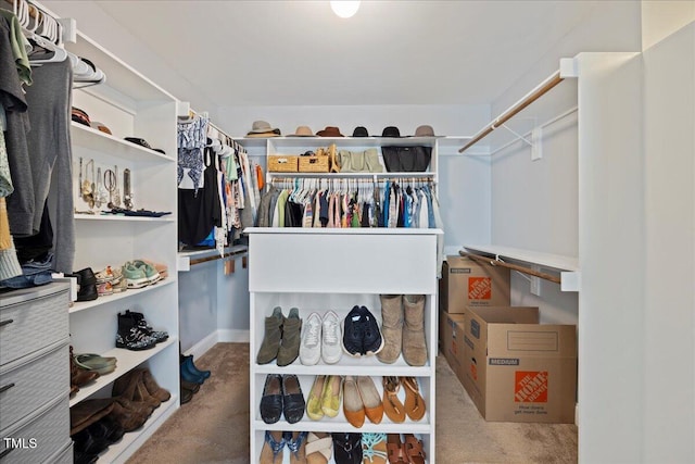 224 Swann Trl, Clayton, NC 27527 - walk in closet with carpet