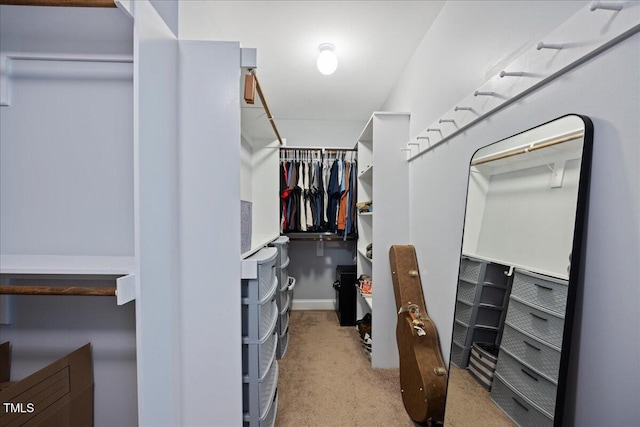 224 Swann Trl, Clayton, NC 27527 - spacious closet with carpet