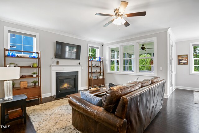 8909 Tara Hill Ln, Wake Forest, NC 27587 - living area with crown molding, a fireplace with flush hearth, dark wood-type flooring, ceiling fan, and healthy amount of natural light