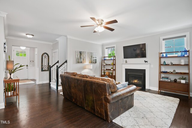 8909 Tara Hill Ln, Wake Forest, NC 27587 - living area with a ceiling fan, dark wood-type flooring, ornamental molding, a fireplace with flush hearth, and baseboards