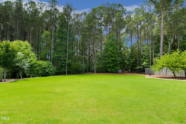 8909 Tara Hill Ln, Wake Forest, NC 27587 - view of yard