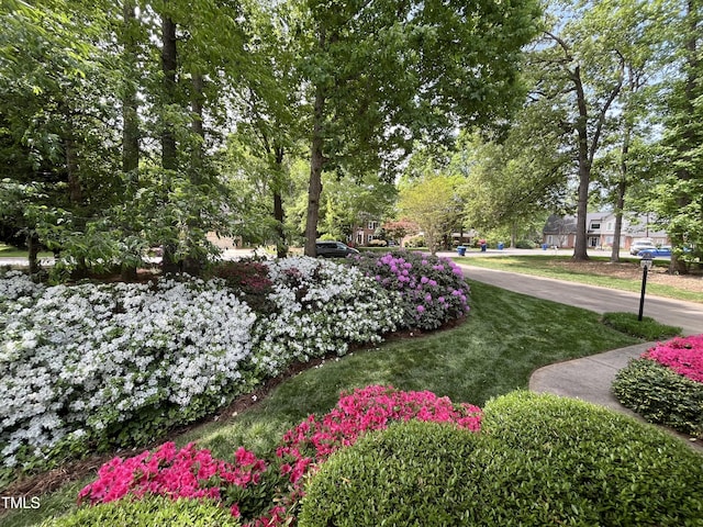 102 Pin Oak Ct, Elon, NC 27244 - view of green lawn